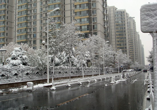 “北京初雪”/